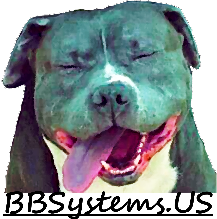 BBSystems.US logo